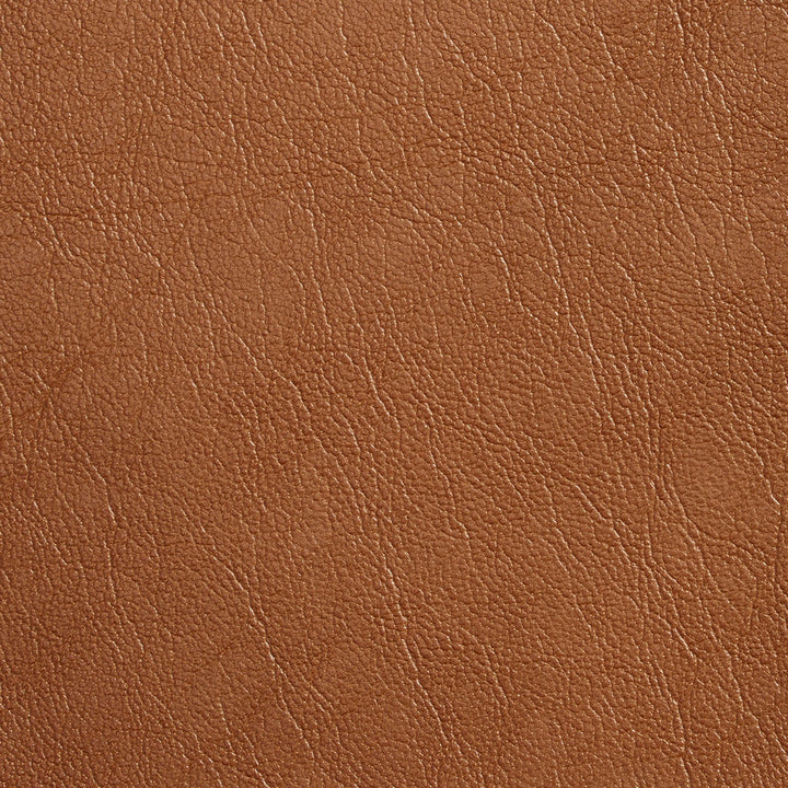 7079 Caramel by Charlotte Designer Fabric Breathable Volume II 100% Breathable Polyurethane, 26oz. Asia Exceeds 250,000 Wyzenbeek Rubs (Heavy Duty) No Repeat 54 Inches - Swanky Fabrics -