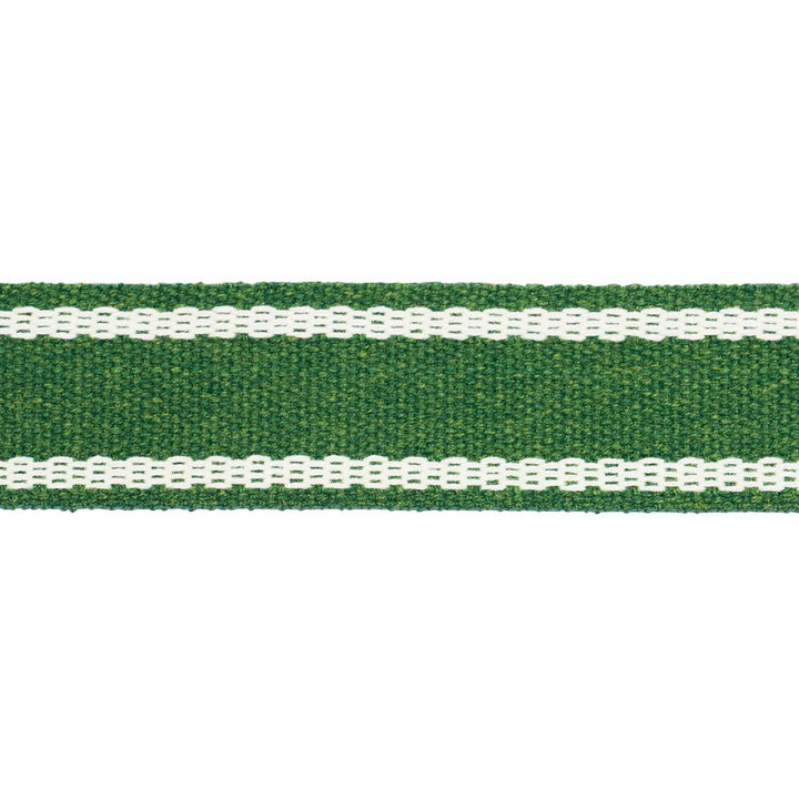 Sullivan Tape Narrow Indoor/Outdoor Green 83672 by Schumacher Designer Trim Perennial Favorite Trims - Swanky Fabrics -