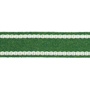 Schumacher Trim Sullivan Tape Narrow Indoor/Outdoor Green 83672