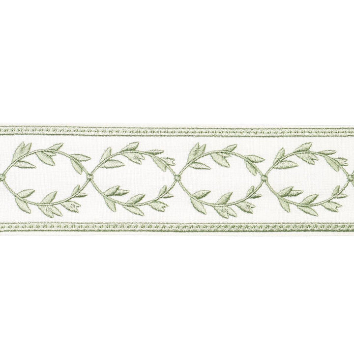 Maison Vine Celadon 84572 by Schumacher Designer Trim Paloma Contreras Trims 2.5" - Swanky Fabrics -