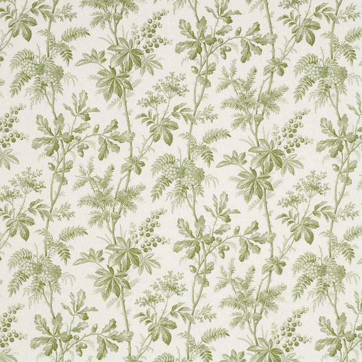 Brantwood Vine Leaf 174114 by Schumacher Designer Fabric A Country Life 18.0" - Swanky Fabrics -