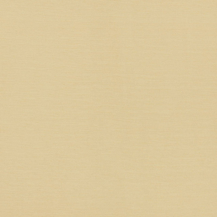 Lampedusa Ecru 70941 by Schumacher Designer Fabric Riviera 100% Solution Martindale 12,000 Horizontal: - and Vertical: - 57 - Swanky Fabrics -