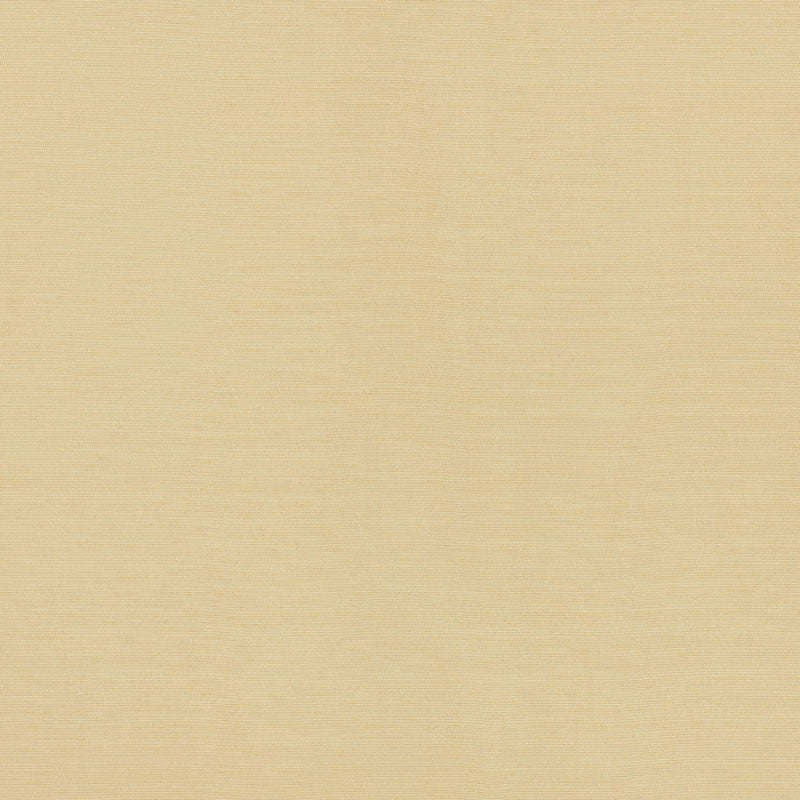 Lampedusa Ecru 70941 by Schumacher Designer Fabric RIVIERA INDOOR/OUTDOOR SOLUTION DYED ACRYLIC 100% ITALY MARTINDALE 12,000 </p><p>Repeat: Horizontal: and Vertical: 57 - Swanky Fabrics -