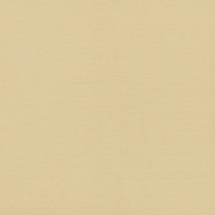 Lampedusa Ecru 70941 by Schumacher Designer Fabric RIVIERA INDOOR/OUTDOOR SOLUTION DYED ACRYLIC 100% ITALY MARTINDALE 12,000 </p><p>Repeat: Horizontal: and Vertical: 57 - Swanky Fabrics -