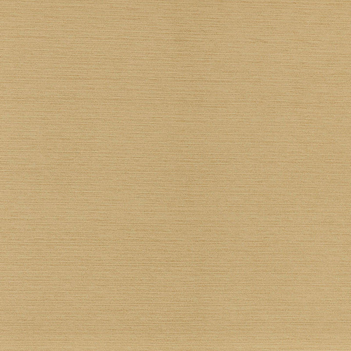 Lampedusa Straw 70942 by Schumacher Fabric Schumacher Fabric Lampedusa Straw 70942Fabric SOLUTION DYED ACRYLIC 100% ITALY </p><p>Repeat: H: , V: 57 - Fabric Carolina -