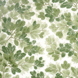 Schumacher Wallpaper Covey Hedge Sage 5016072
