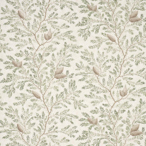 Schumacher Wallpaper Pinewood Spruce 5016090