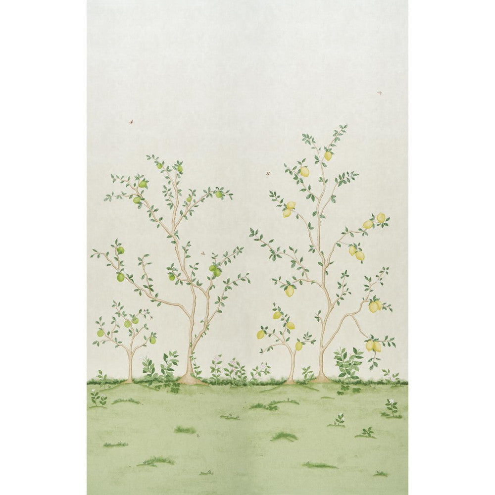 Citrus Blossom 2 Cream 5017160 by Schumacher Designer Wallpaper Botanical Garden 108.0" - Swanky Fabrics -