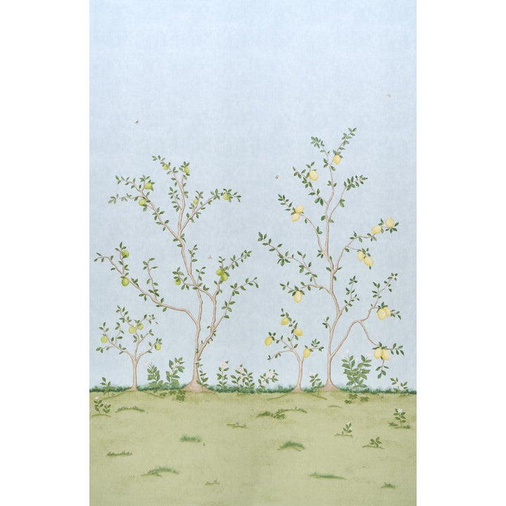 Citrus Blossom 2 Sky 5017162 by Schumacher Designer Wallpaper Botanical Garden 108.0" - Swanky Fabrics -