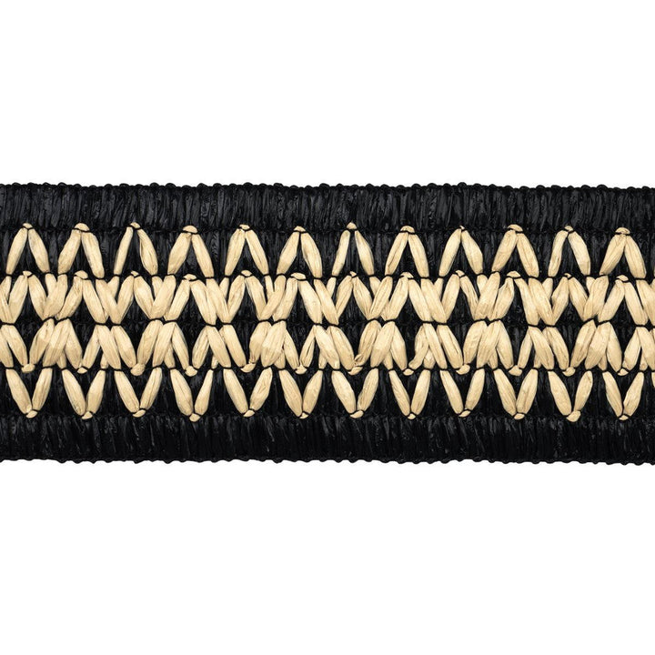 Raphiinae Tape Black 83551 by Schumacher Designer Trim Mesa - Swanky Fabrics -