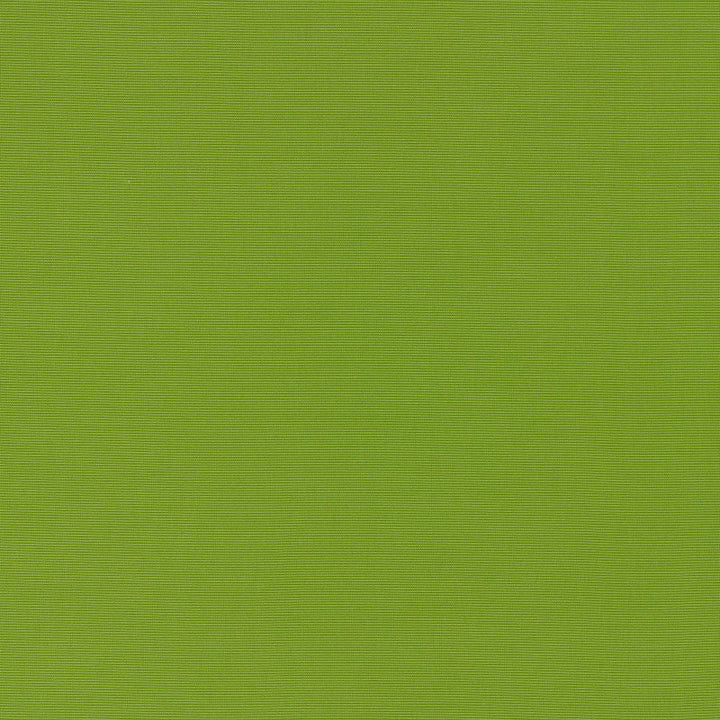 Alassio Lime 70992 by Schumacher Designer Fabric Riviera 100% Solution Martindale 12,000 Horizontal: - and Vertical: - 58 - Swanky Fabrics -