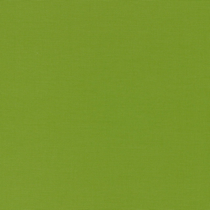 Alassio Lime 70992 by Schumacher Fabric Schumacher Fabric Alassio Lime 70992Fabric SOLUTION DYED ACRYLIC 100% ITALY </p><p>Repeat: H: , V: 58 - Fabric Carolina -