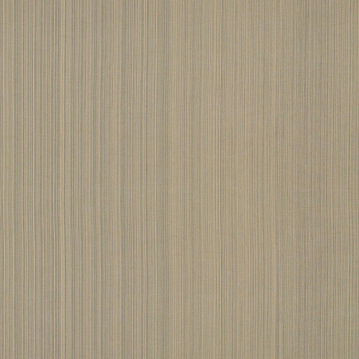 Poetto Strie Rattan 71003 by Schumacher Designer Fabric Riviera 100% Solution Martindale 16,000 Horizontal: - and Vertical: - 56 - Swanky Fabrics -