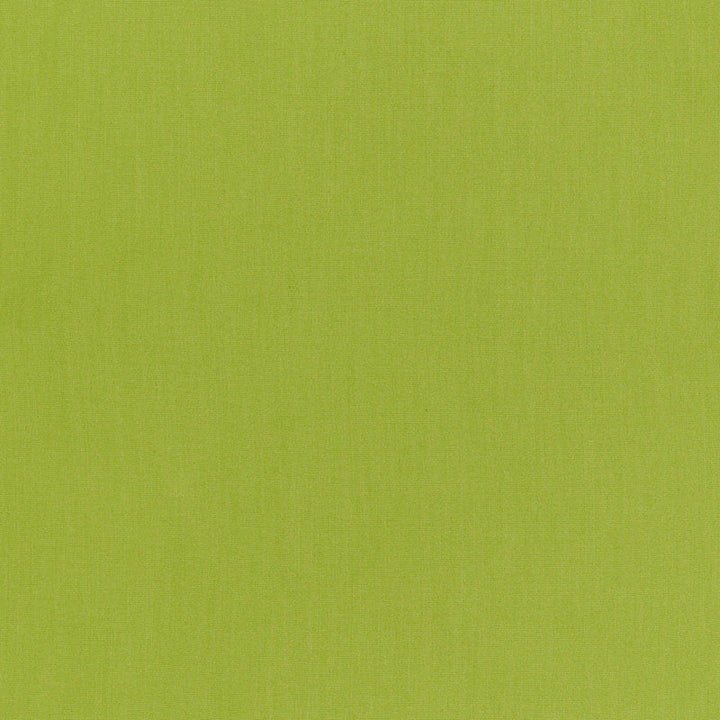 Ravello Sprig 71069 by Schumacher Fabric Schumacher Fabric Ravello Sprig 71069Fabric SOLUTION DYED ACRYLIC 100% ITALY </p><p>Repeat: H: , V: 59 - Fabric Carolina -