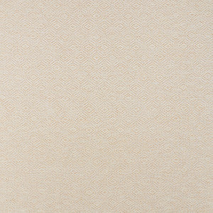 Schumacher Fabric Anderson Bamboo 71131