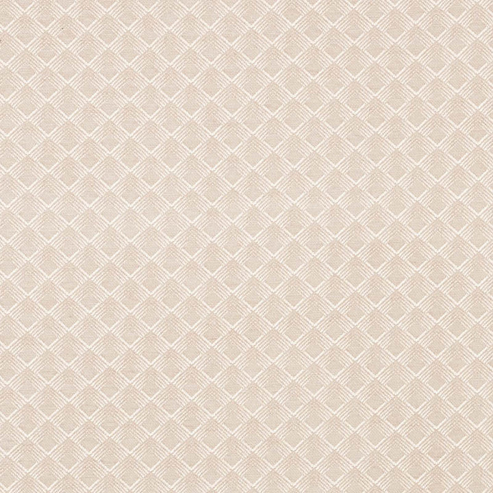 Morgan Pearl Grey 71171 by Schumacher Designer Fabric Essentials-Luxe-Upholstery 62% Viscose, 33% Cotton, 5% Polyester Wyzenbeek 27,000 Horizontal: 1.75 and Vertical: 1.5 55 - Swanky Fabrics -