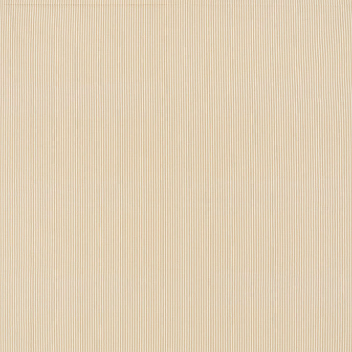 Edie Stripe Sand 71301 by Schumacher Designer Fabric Essentials-Classic-Stripes 100% Cotton - Horizontal: 3/8- and Vertical: - 55 - Swanky Fabrics -