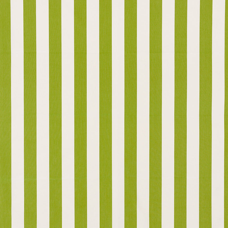 Andy Stripe Green 71326 by Schumacher Designer Fabric Essentials-Classic-Stripes 100% Cotton - Horizontal: 5.5 and Vertical: - 55 - Swanky Fabrics -