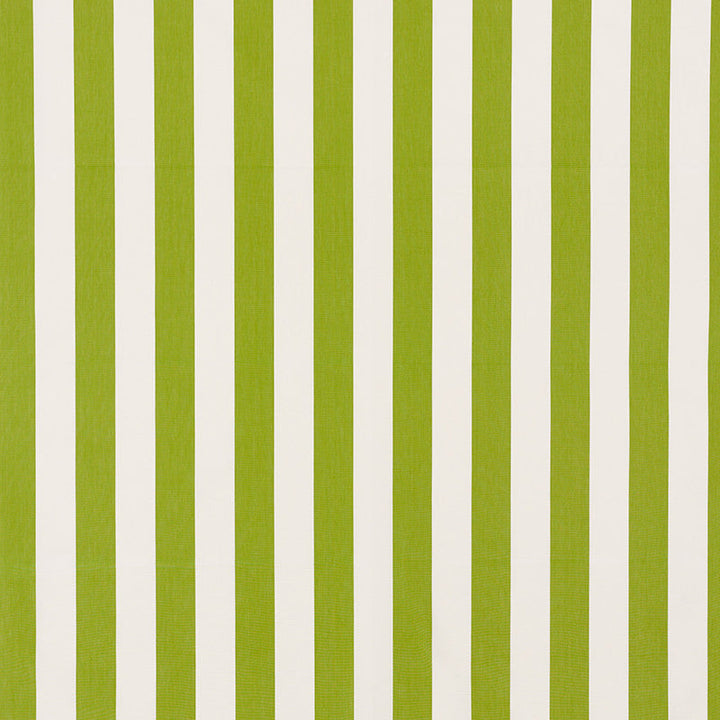 Andy Stripe Green 71326 by Schumacher Designer Fabric Essentials-Classic-Stripes 100% Cotton - Horizontal: 5.5 and Vertical: - 55 - Swanky Fabrics -