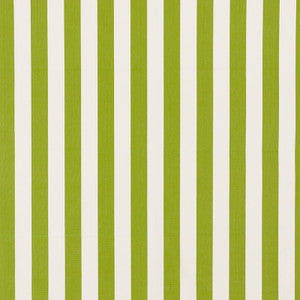 Schumacher Fabric Andy Stripe Green 71326