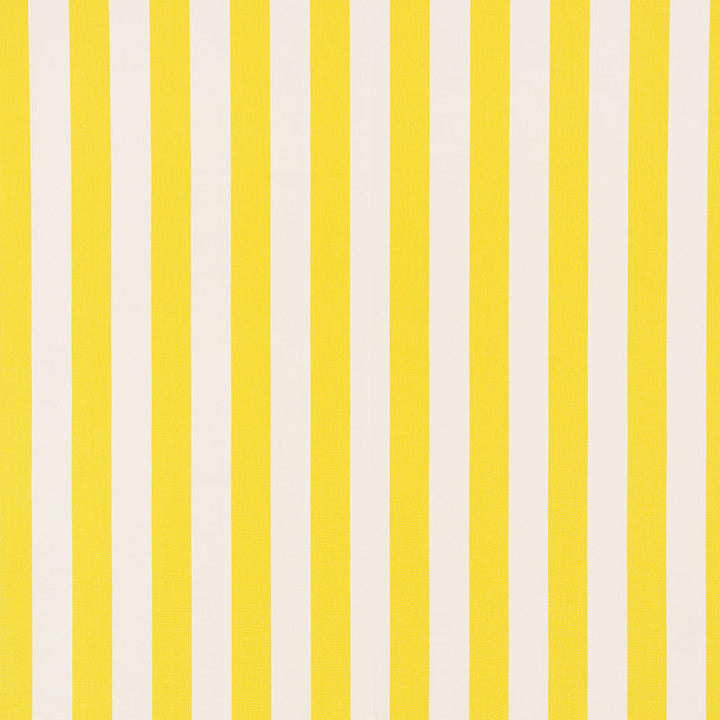 Andy Stripe Yellow 71327 by Schumacher Designer Fabric Essentials-Classic-Stripes 100% Cotton - Horizontal: 5.5 and Vertical: - 55 - Swanky Fabrics -