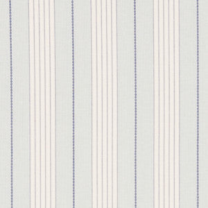 Schumacher Fabric Audrey Stripe Sky 71371
