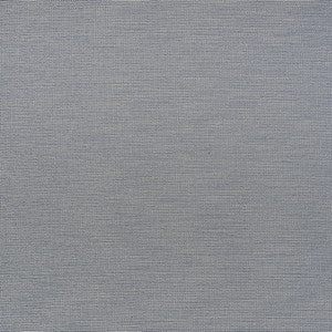 Schumacher Fabric Ellis Blue 71571