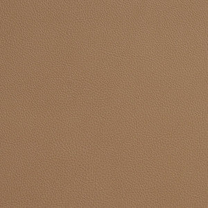 Charlotte Fabric 7171 Sandalwood