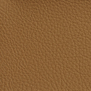 Charlotte Fabric 7173 Palomino