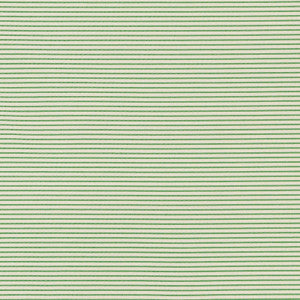 Schumacher Fabric Stitched Stripe Green 71740