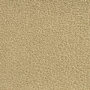 Charlotte Fabric 7177 Cream