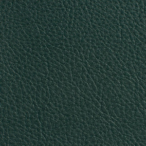 Charlotte Fabric 7178 Hunter