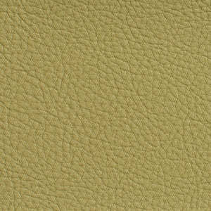 Charlotte Fabric 7181 Pesto