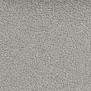 Charlotte Fabric 7183 Sterling