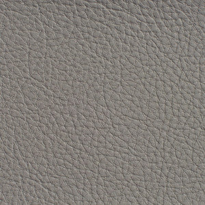 Charlotte Fabric 7185 Pewter
