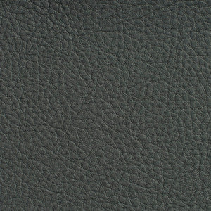 Charlotte Fabric 7188 Coal