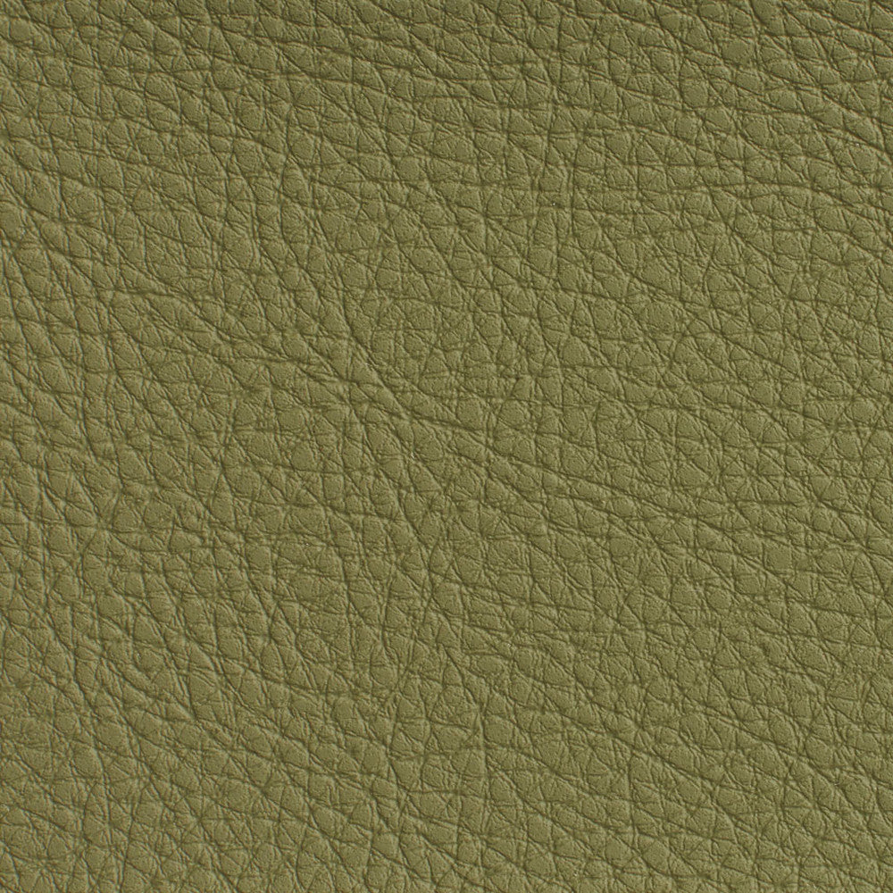 7191 Sage by Charlotte Designer Fabric Heavy Duty Soft Touch Vinyl II 100% Vinyl, 30oz. Asia Exceeds 200,000 Wyzenbeek Rubs (Heavy Duty) </p><p>Repeat: 54 Inches - Swanky Fabrics -