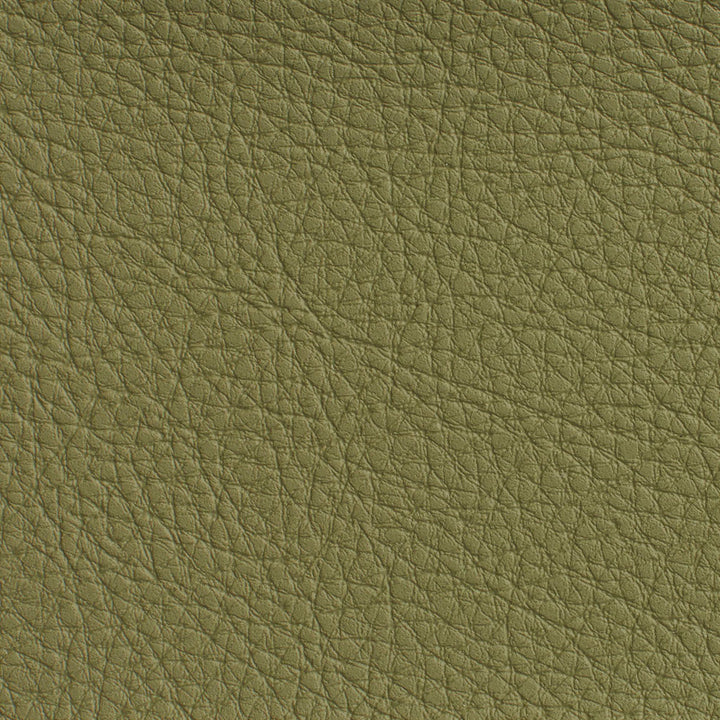 7191 Sage by Charlotte Designer Fabric Heavy Duty Soft Touch Vinyl II 100% Virgin Vinyl, 30oz. Asia Exceeds 200,000 Wyzenbeek Rubs (Heavy Duty) No Repeat 54 Inches - Swanky Fabrics -