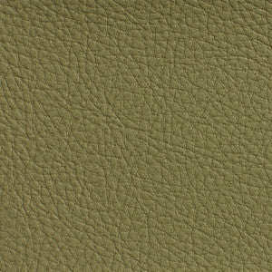 Charlotte Fabric 7191 Sage