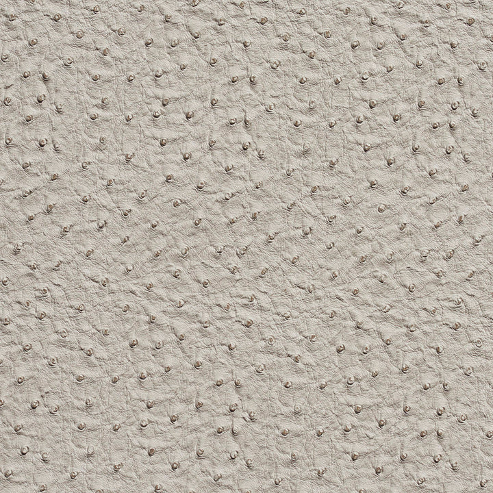 7233 Fog by Charlotte Designer Fabric Exotics 100% Virgin Vinyl, 34oz. Asia Exceeds 200,000 Wyzenbeek Rubs (Heavy Duty) No Repeat 54 Inches - Swanky Fabrics -