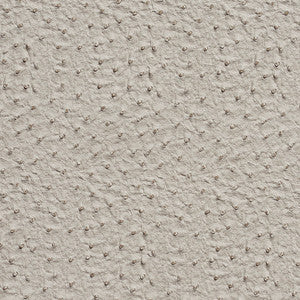 Charlotte Fabric 7233 Fog