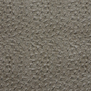 Charlotte Fabric 7273 Pewter