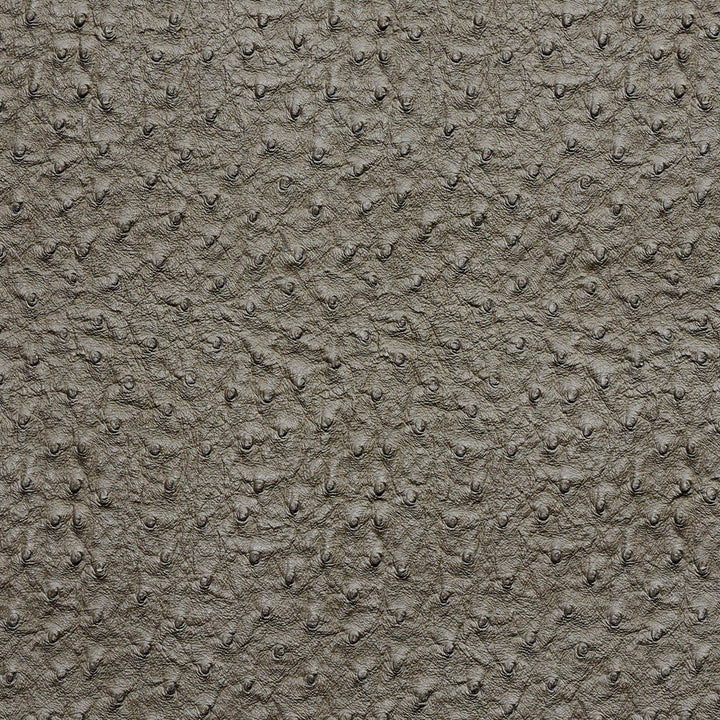 7273 Pewter by Charlotte Designer Fabric Exotics 100% Vinyl, 34oz. Asia Exceeds 200,000 Wyzenbeek Rubs (Heavy Duty) </p><p>Repeat: 54 Inches - Swanky Fabrics -