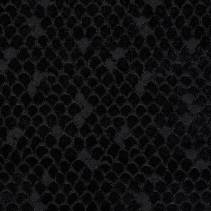 Esther Velvet Onyx 72773 by Schumacher Designer Fabric Cut-Patterned-Velvets 80% Viscose, 17% Cotton, 3% Polyester Martindale 35,000 Horizontal: 13.5 and Vertical: 11 54 - Swanky Fabrics -