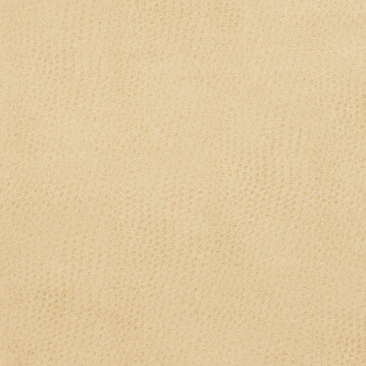 7277 Parchment by Charlotte Designer Fabric Exotics 100% Virgin Vinyl, 34oz. Asia Exceeds 200,000 Wyzenbeek Rubs (Heavy Duty) No Repeat 54 Inches - Swanky Fabrics -