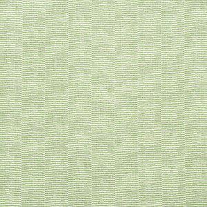 Schumacher Fabric Promenade Indoor/Outdoor Leaf 73131