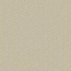 Sunbrella Fabric 42105-0002 Momento Parchment
