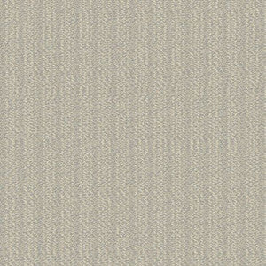Sunbrella Fabric 42105-0003 Momento Dove
