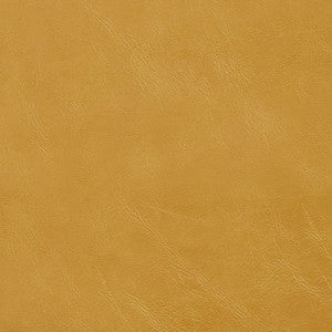 Charlotte Fabric 7404 Saffron