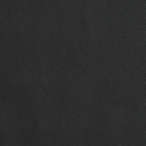 Charlotte Fabric 7407 Coal